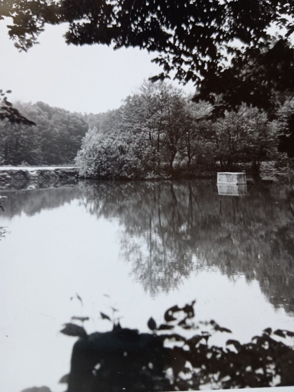 Park Maksimir, jezero C